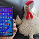 Lazada, WeMe, Webnovel, Funimate... ¿Pero qué son todas estas aplicaciones ignotas, Realme?